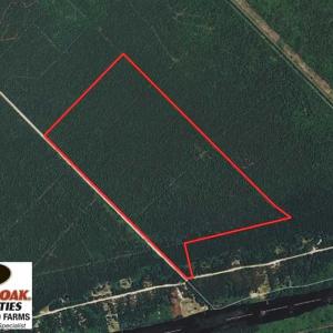 Photo of REDUCED!  287 Acres of Hunting Land With Buildable Lot For Sale in Hyde County NC!