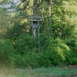 Photo of REDUCED!  287 Acres of Hunting Land With Buildable Lot For Sale in Hyde County NC!