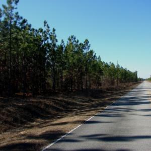 Photo of SOLD!  1791 Acre Timber Land for Sale in Bladen County NC