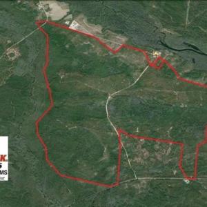 Photo of SOLD!  1791 Acre Timber Land for Sale in Bladen County NC