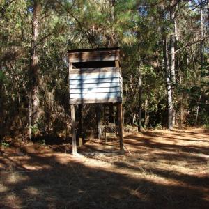 Photo of SOLD!  1791 Acre Timber Land for Sale in Bladen County NC
