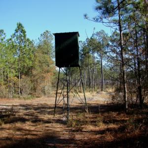 Photo of SOLD!  1791 Acre Timber Land for Sale in Bladen County NC