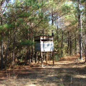 Photo of SOLD!  1791 Acre Timber Land for Sale in Bladen County NC