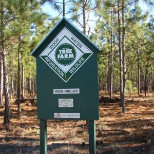 Photo of SOLD!  1791 Acre Timber Land for Sale in Bladen County NC