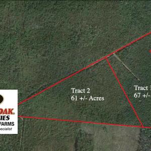 Photo of SOLD!  61 Acre Hunting Land for Sale in Pender County NC