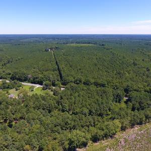 Photo of SOLD!  10 Acres of Hunting and Timber Land For Sale in Halifax County NC!