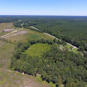 Photo of SOLD!  10 Acres of Hunting and Timber Land For Sale in Halifax County NC!