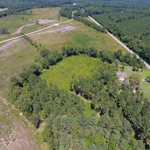 Photo of SOLD!  10 Acres of Hunting and Timber Land For Sale in Halifax County NC!