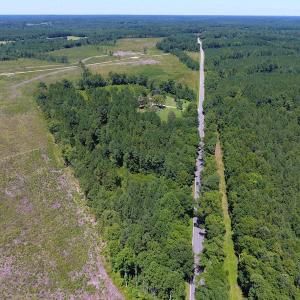 Photo of SOLD!  10 Acres of Hunting and Timber Land For Sale in Halifax County NC!