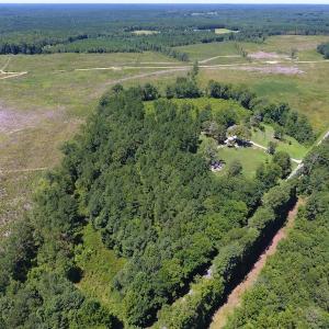 Photo of SOLD!  10 Acres of Hunting and Timber Land For Sale in Halifax County NC!