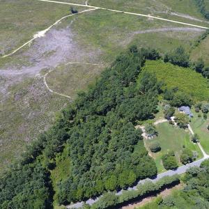 Photo of SOLD!  10 Acres of Hunting and Timber Land For Sale in Halifax County NC!