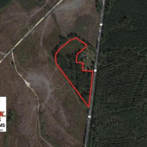 Photo of SOLD!  10 Acres of Hunting and Timber Land For Sale in Halifax County NC!