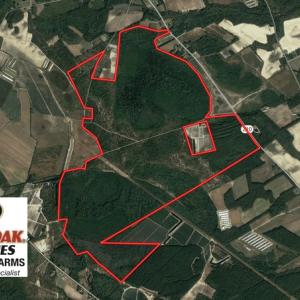 Photo of SOLD!  930 Acres of Hunting and Timber Land for Sale in Bladen County NC!