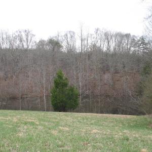 Photo of SOLD!  12.80 Acres of Recreational  Land with Home Site For Sale in Rockingham County NC!