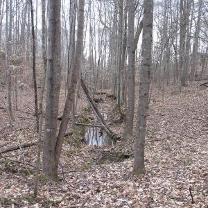 Photo of SOLD!  12.80 Acres of Recreational  Land with Home Site For Sale in Rockingham County NC!