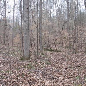 Photo of SOLD!  12.80 Acres of Recreational  Land with Home Site For Sale in Rockingham County NC!