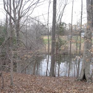 Photo of SOLD!  12.80 Acres of Recreational  Land with Home Site For Sale in Rockingham County NC!