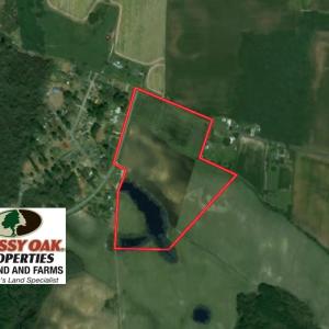 Photo of SOLD!  30 Acre Farm with Pond For Sale in Onslow County NC