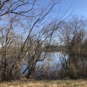 Photo of SOLD!  30 Acre Farm with Pond For Sale in Onslow County NC
