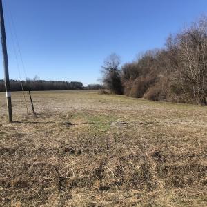 Photo of SOLD!  30 Acre Farm with Pond For Sale in Onslow County NC