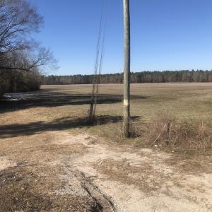 Photo of SOLD!  30 Acre Farm with Pond For Sale in Onslow County NC