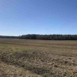 Photo of SOLD!  30 Acre Farm with Pond For Sale in Onslow County NC