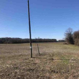 Photo of SOLD!  30 Acre Farm with Pond For Sale in Onslow County NC