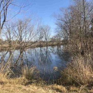 Photo of SOLD!  30 Acre Farm with Pond For Sale in Onslow County NC