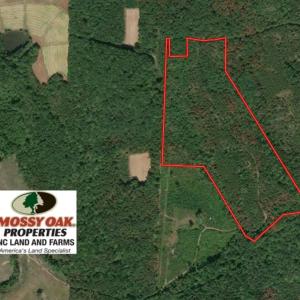 Photo of 46 Acres of Secluded Hunting Land For Sale in Person County NC!