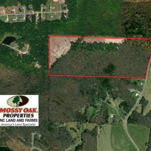 Photo of 59 Acres of Hunting and Investment Timber Land For Sale in Person County NC!