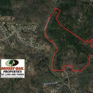 Photo of 66 Acres of Hunting and Investment Timber Land For Sale in Randolph County NC!