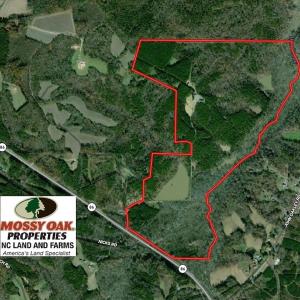 Photo of 255 Acres of Hunting Land and Investment Timber For Sale in Caswell County NC!