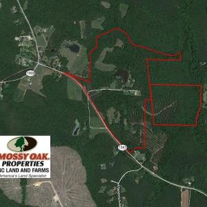 Photo of 160 Acre Farm with Home Hunting and Investment Timber Land For Sale in Vance County NC!