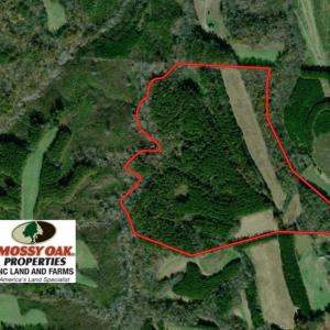 Photo of 89 Acres of Farm Hunting and Investment Timber Land For Sale in Caswell County NC!