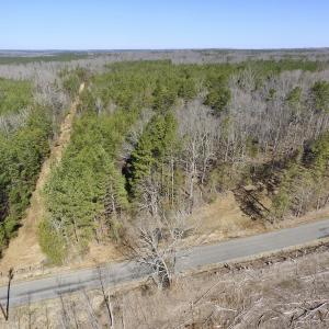Photo #3 of SOLD property in Double Bridges Rd, Meherrin, VA 29.0 acres