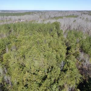 Photo #13 of SOLD property in Double Bridges Rd, Meherrin, VA 29.0 acres