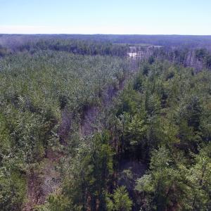 Photo #14 of SOLD property in Double Bridges Rd, Meherrin, VA 29.0 acres