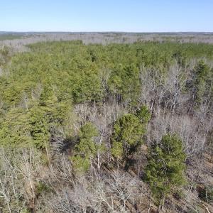 Photo #16 of SOLD property in Double Bridges Rd, Meherrin, VA 29.0 acres