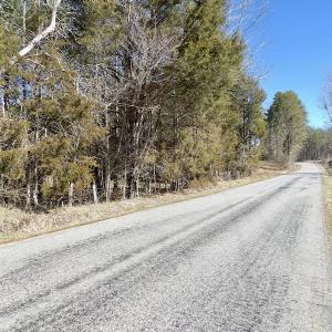 Photo #18 of SOLD property in Double Bridges Rd, Meherrin, VA 29.0 acres