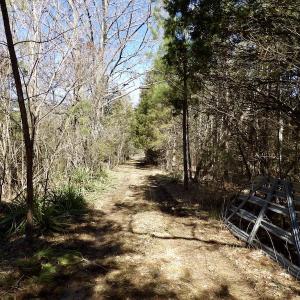 Photo #19 of SOLD property in Double Bridges Rd, Meherrin, VA 29.0 acres