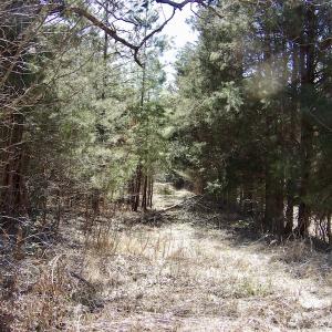 Photo #20 of SOLD property in Double Bridges Rd, Meherrin, VA 29.0 acres