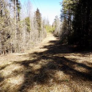 Photo #22 of SOLD property in Double Bridges Rd, Meherrin, VA 29.0 acres