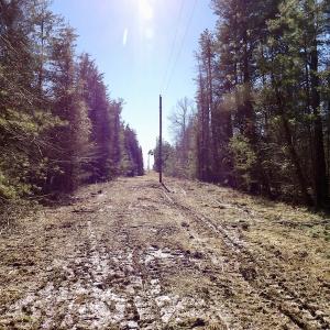 Photo #23 of SOLD property in Double Bridges Rd, Meherrin, VA 29.0 acres
