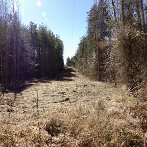 Photo #28 of SOLD property in Double Bridges Rd, Meherrin, VA 29.0 acres
