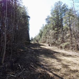 Photo #29 of SOLD property in Double Bridges Rd, Meherrin, VA 29.0 acres