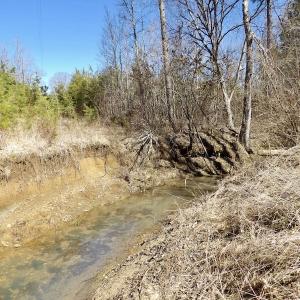 Photo #31 of SOLD property in Double Bridges Rd, Meherrin, VA 29.0 acres