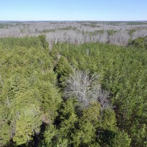 Photo #5 of SOLD property in Double Bridges Rd, Meherrin, VA 29.0 acres