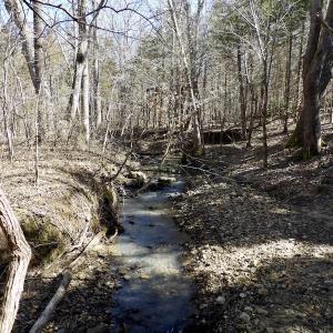 Photo #32 of SOLD property in Double Bridges Rd, Meherrin, VA 29.0 acres