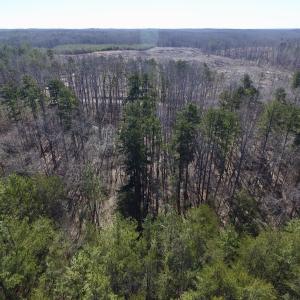 Photo #6 of SOLD property in Double Bridges Rd, Meherrin, VA 29.0 acres