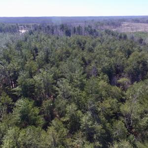 Photo #7 of SOLD property in Double Bridges Rd, Meherrin, VA 29.0 acres